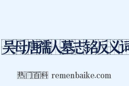 吴母唐孺人墓志铭反义词是什么意思的图片